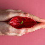 Vagina Flower Concept